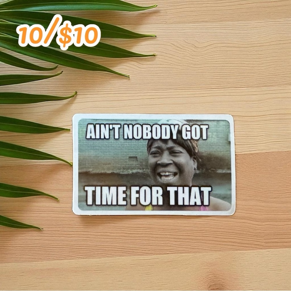 Funny Meme Sticker – Ain’t Nobody Got Time for That – 3”